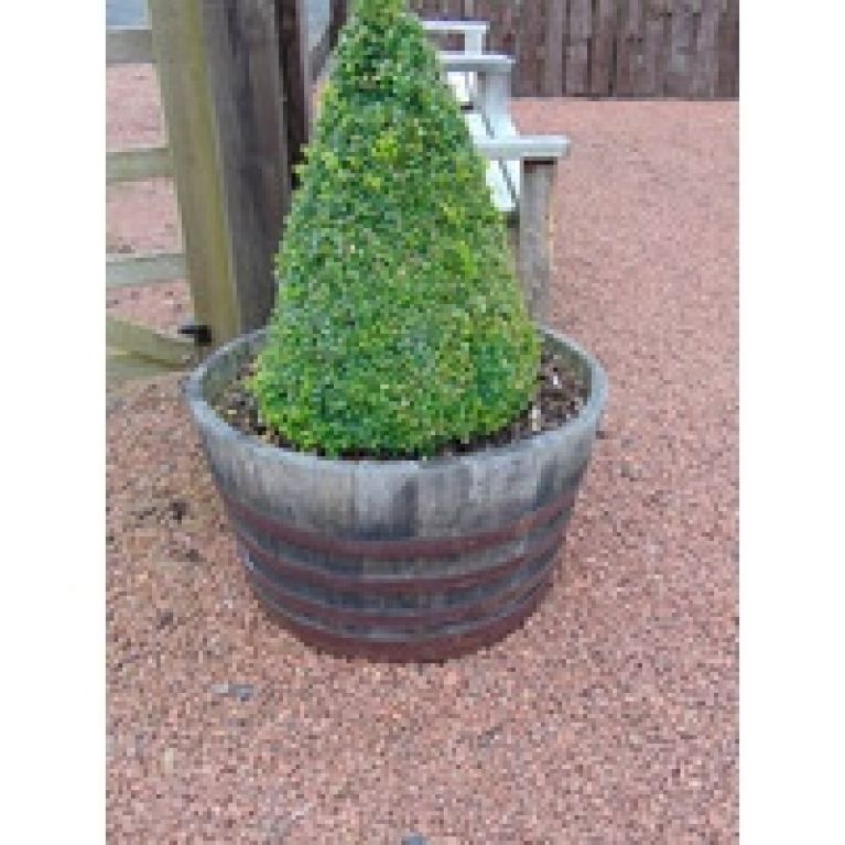 Large Oak Tubs Half-barrel Planters