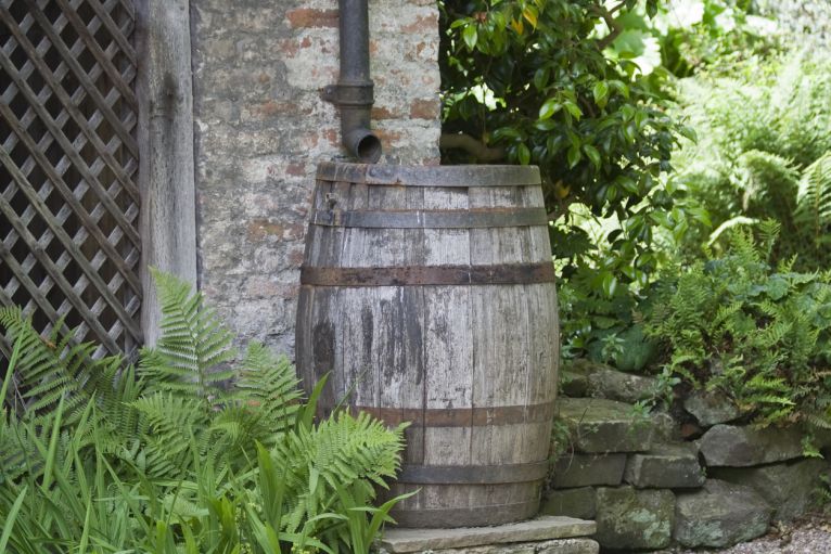 Oak Barrels & Water Butts