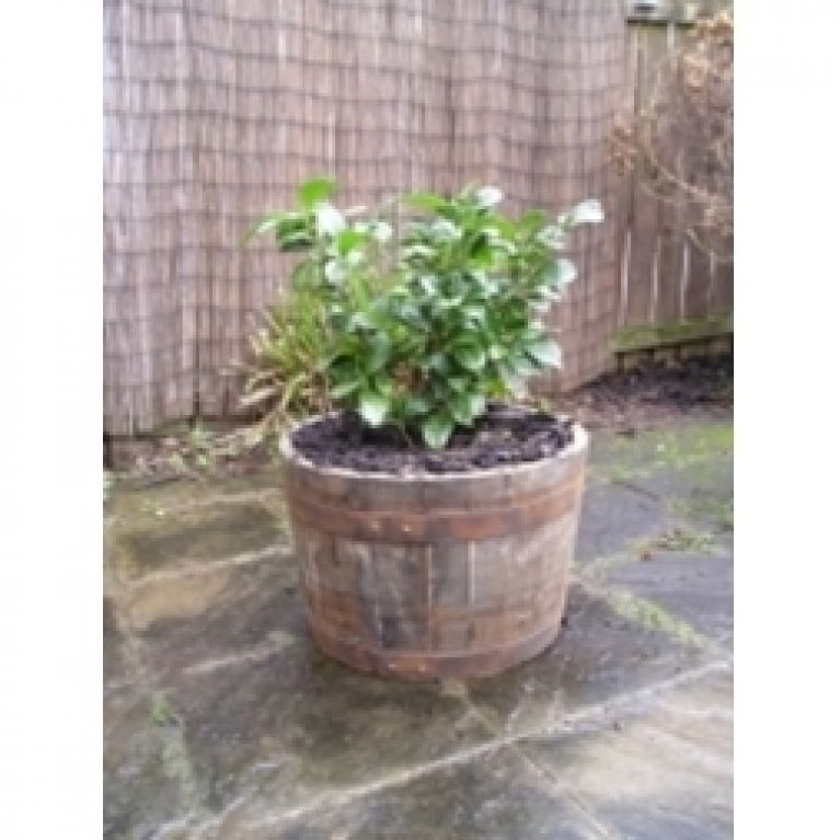 Small Oak Tubs Half-barrel Planters