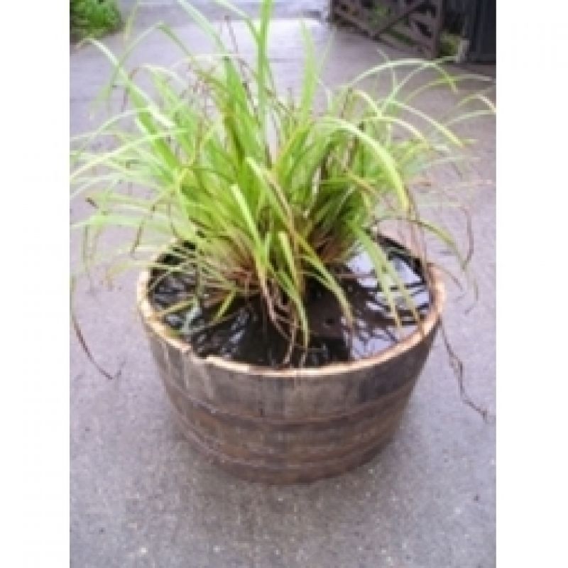 38" Natural Finish Oak Tubs HalfBarrel Planters Oak Tubs / Barrel Planters Large Oak Tubs