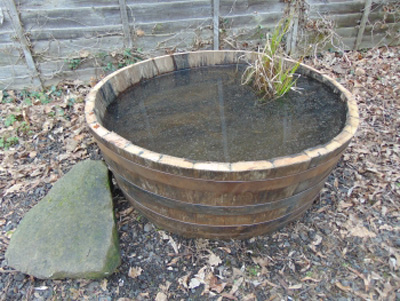 Shallow Half Oak Barrel Duck Pond