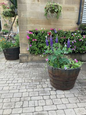 36" Natural Finish Oak Tubs Half-Barrel Planters