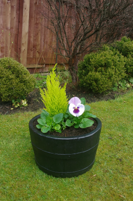 20" Extra Deep Dark Stained Finish Oak Tubs Half-Barrels