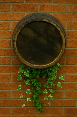 21 inch (53cm): Rustic with Black Hoops Finish Barrel Ends