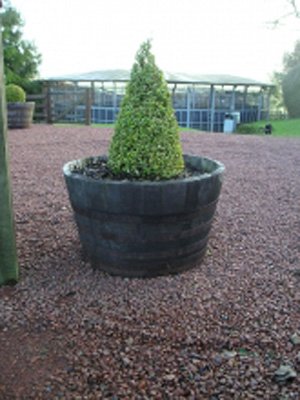 28" Natural Finish Oak Tubs Half-Barrel Planters