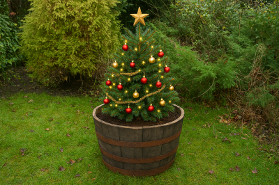 Christmas Tree Tubs - 60cm