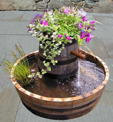 Mexican Hat Water Garden