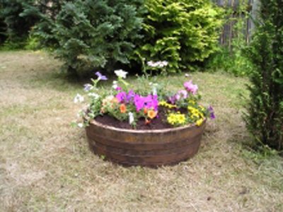 24"Shallow Oak Tub Planter Natural Finish