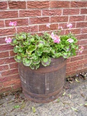 Half Barrel Wall Planter With Rustic Finish