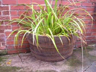 36" Half Moon Natural Finish Oak Tubs Barrel Planters