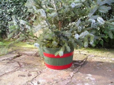 17" Christmas Tree Tub Green Stained Oak With Red Hoops