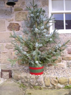 14" Christmas Tree Tub Green Stained Oak With Red Hoops