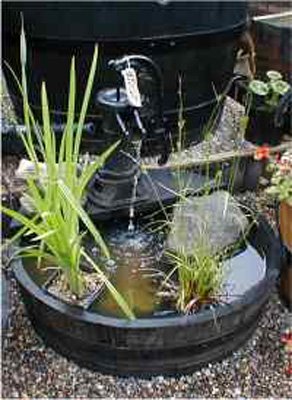 Shallow Pitcher Pump Water Garden