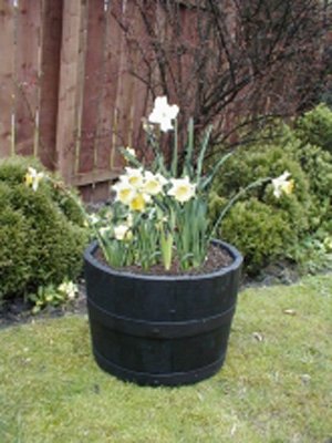 17" Dark Stained Finish Oak Tubs Half-Barrels