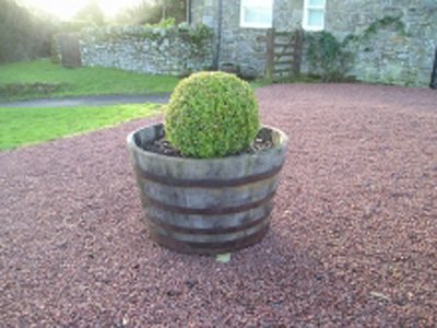 36" Natural Finish Oak Tubs Half-Barrel Planters