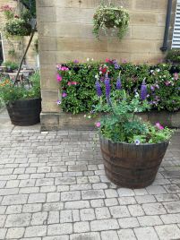36" Natural Finish Oak Tubs Half-Barrel Planters