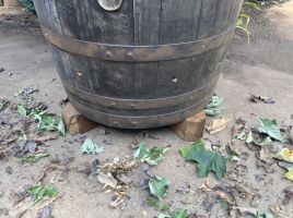 OAK BARREL COMPOST BIN - 250L